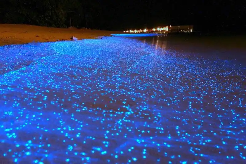 #13 glowing beach in maldives