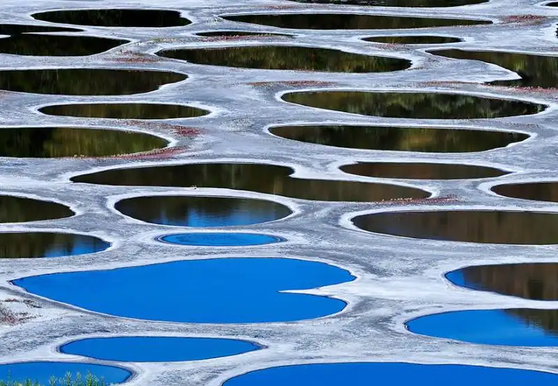 #25 spotted lake, canada 2