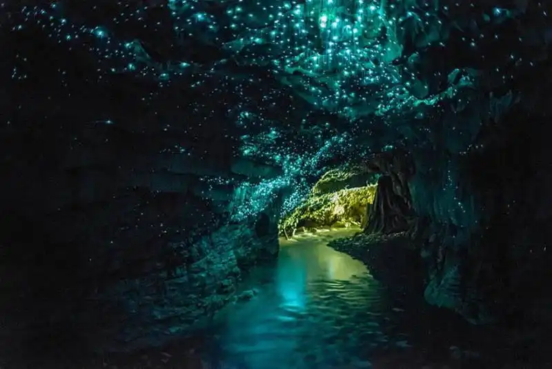 #3 glowworms cave, new zealand