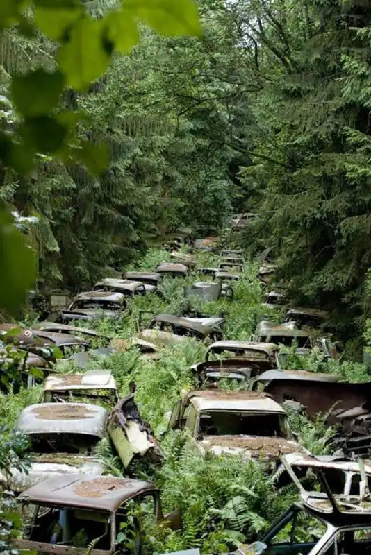 38. auto abbandonate sulle ardenne, belgio