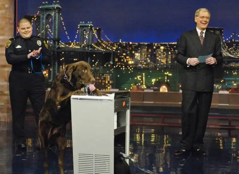 david letterman stupid pet tricks