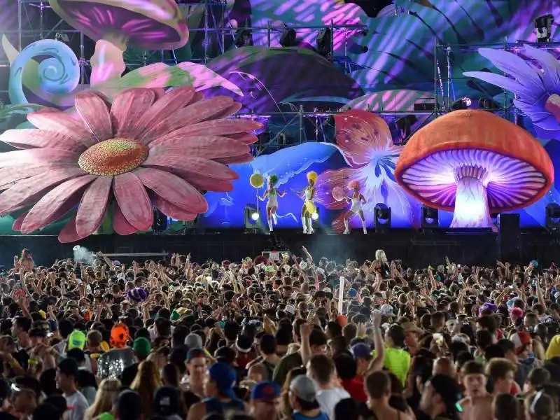 electric daisy carniva