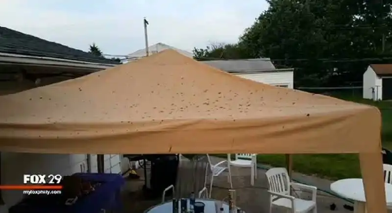 festa di compleanno rovinata da un aereo che scarica cacca  