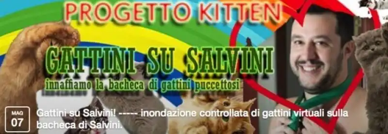 GATTINI PER SALVINI 