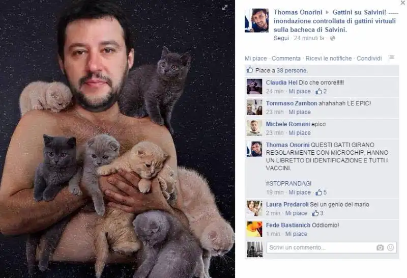 GATTINI PER SALVINI