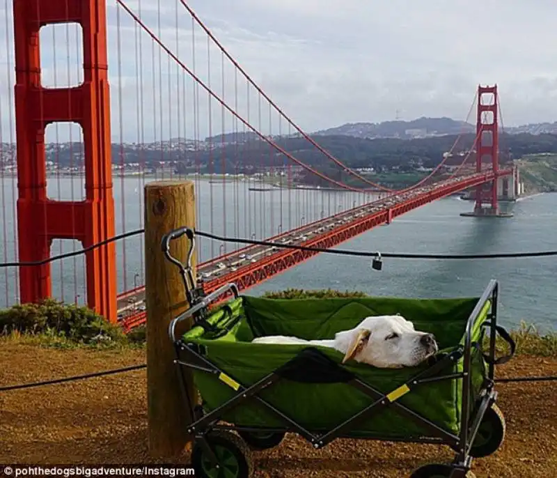 golden gate, san francisco