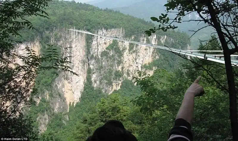 il ponte progettato da haim dotan