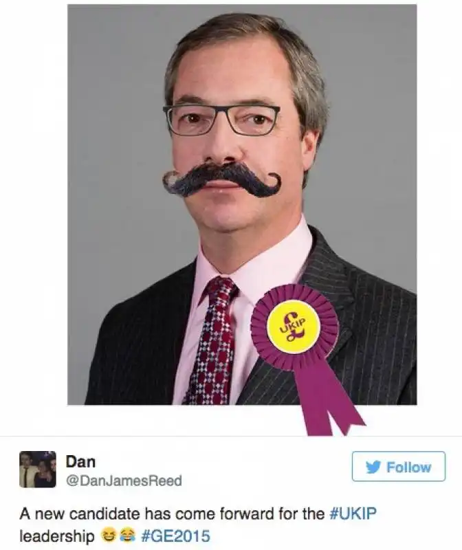 il sostituto di nigel farage