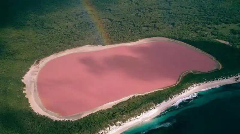 lago hillier