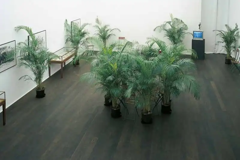 marcel broodthaers   un jardin d'hiver