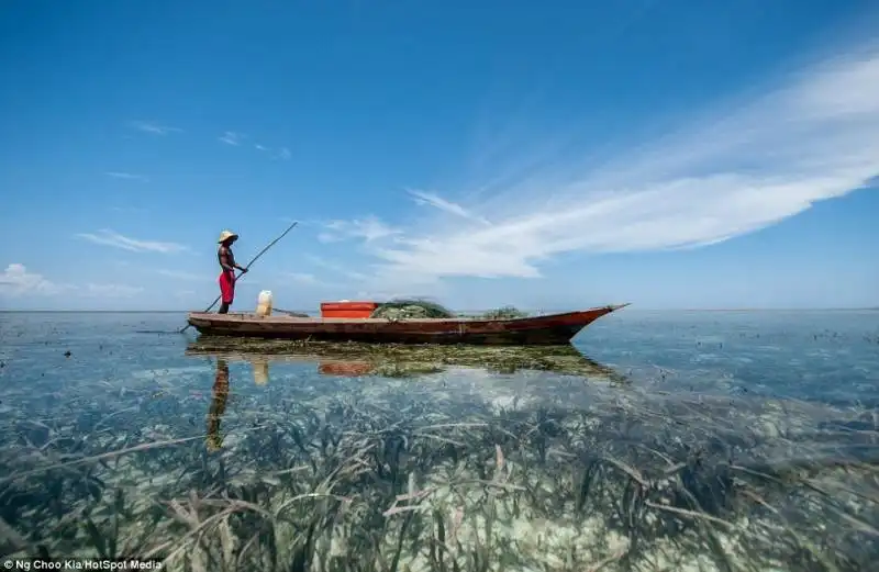 mentre alcuni bajau scendono a terra per il commercio, altri si rifiutano di lasciare l'oceano