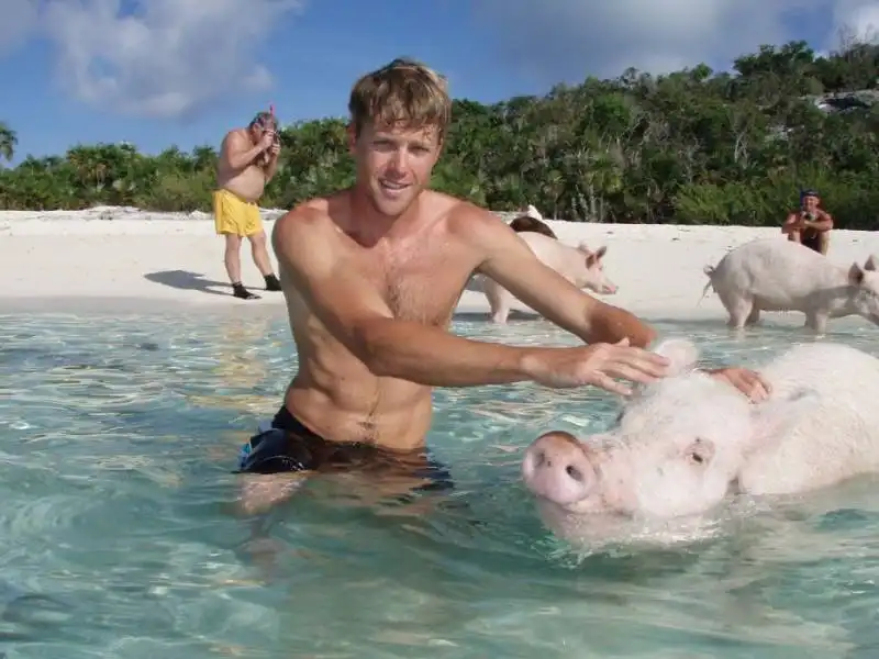 pig beach