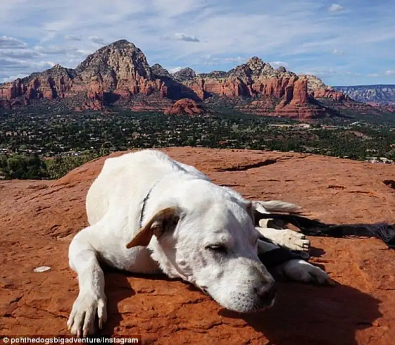 poh prende il sole in arizona