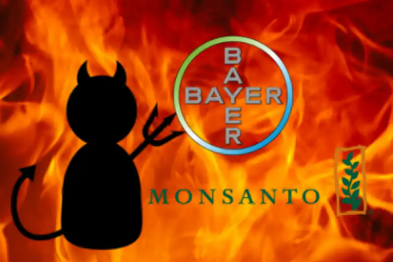 bayer monsanto