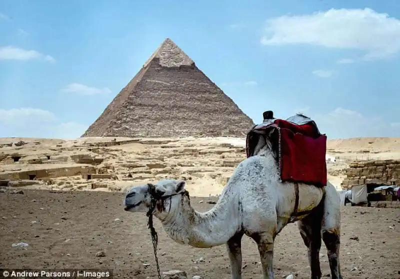 cammello aspetta turisti davanti le piramidi