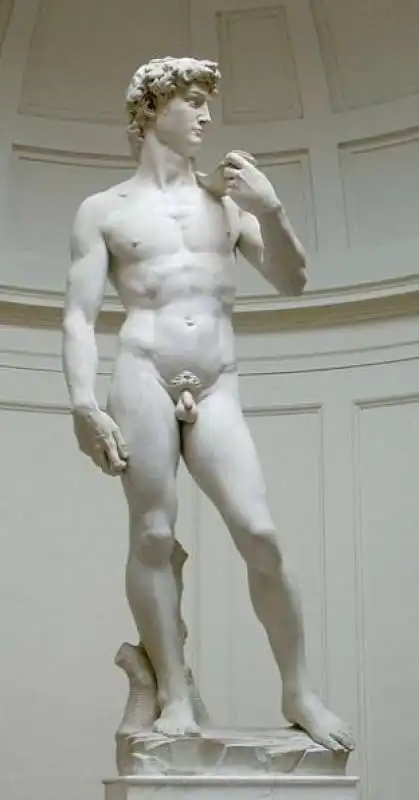 david di michelangelo