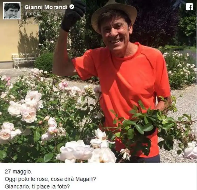 MORANDI CONTRO MAGALLI 