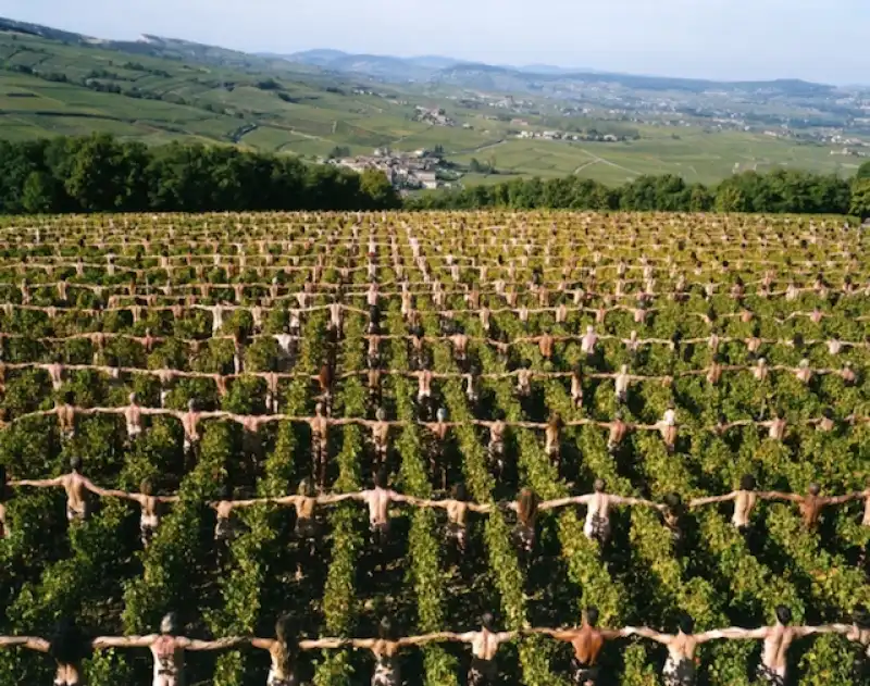 nudi come vitigni per spencer tunick