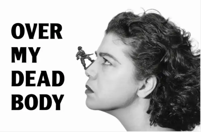 over my dead body mona hatoum