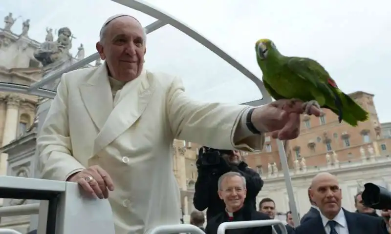 PAPA BERGOGLIO CON IL PAPPAGALLO