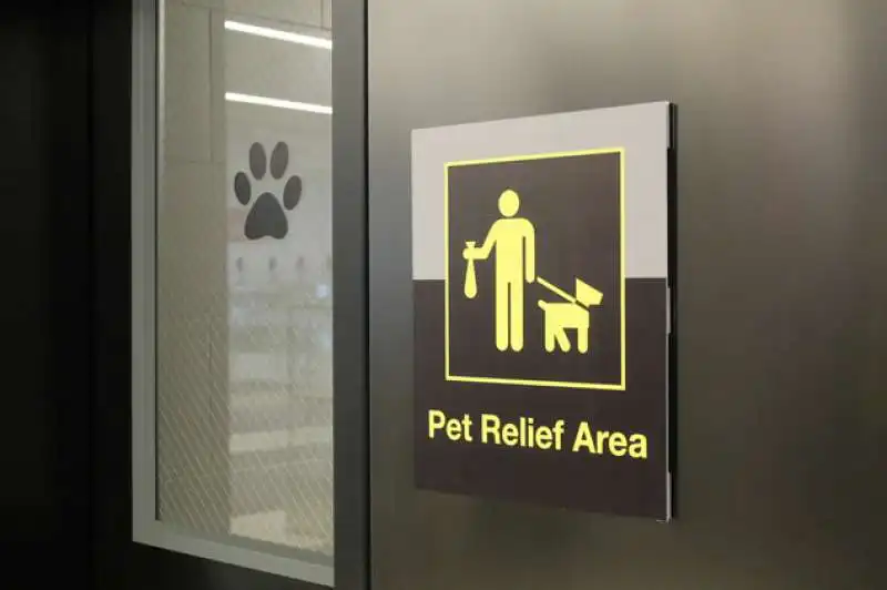 pet relief facilities 2