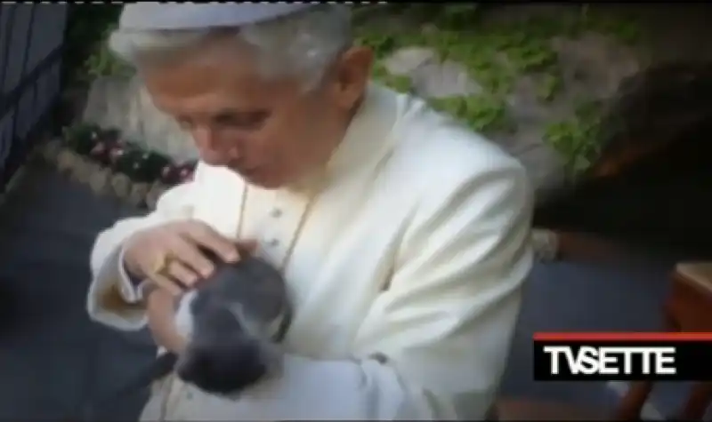 RATZINGER E IL GATTO 