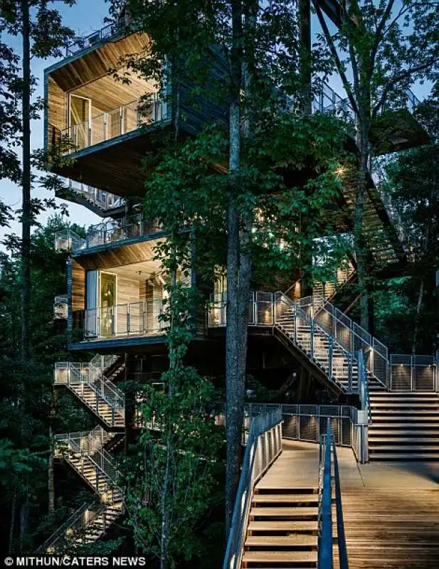 tree house sostenibile in wast virginia