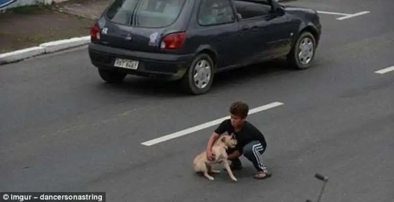 bimbo aiuta il cane in mezzo alla strada