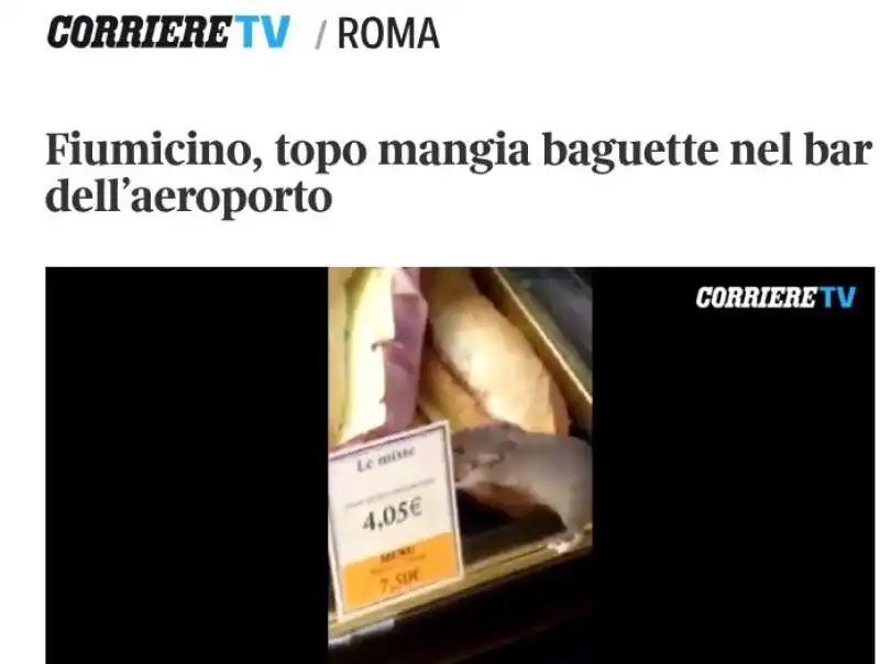 CORRIERE TOPO FIUMICINO