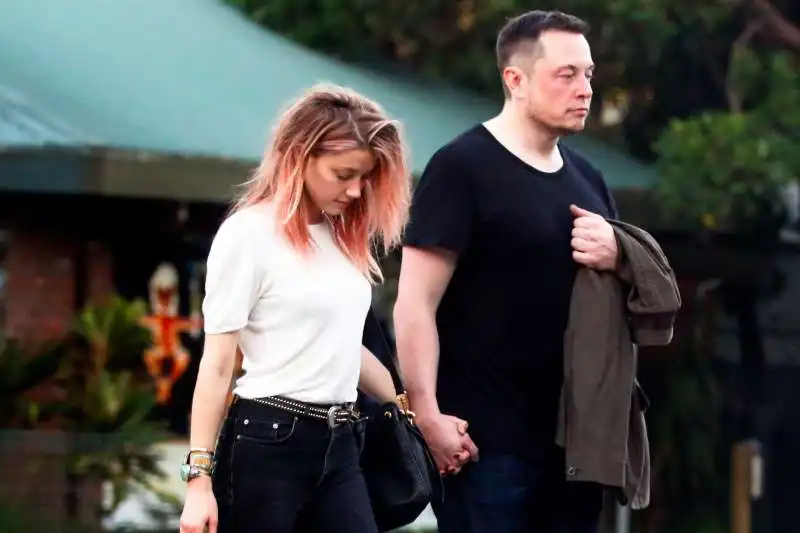 elon musk amber heard