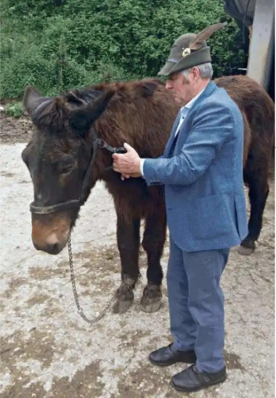 IL MULO IROSO CON IL SUO PADRONE