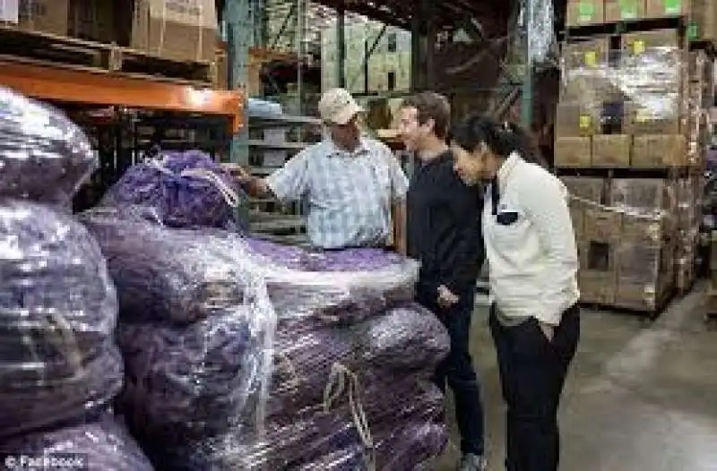 mark zuckerberg 4