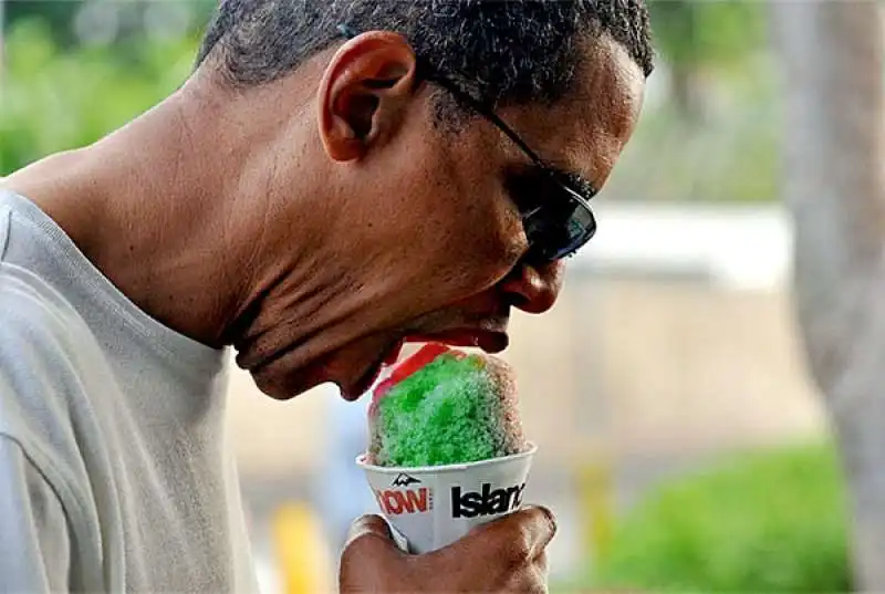 obama junk food1