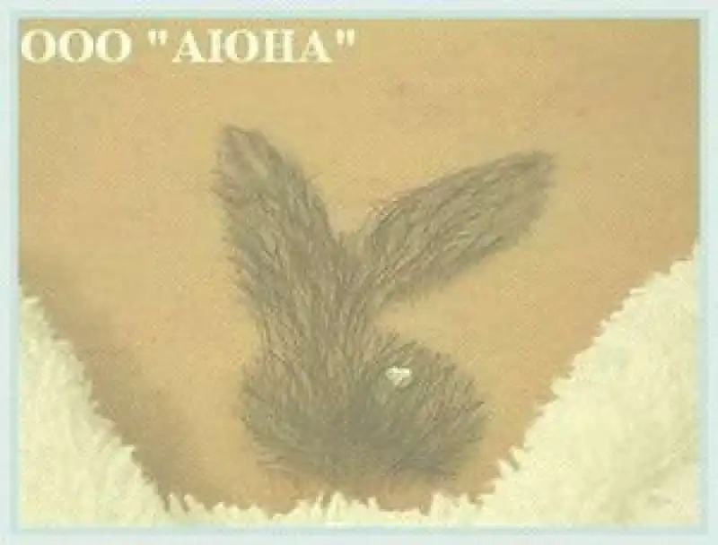 pubic hair playboy