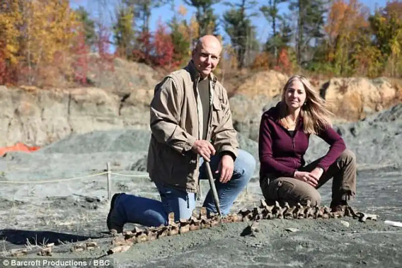 ritrovamenti fossili in new jersey