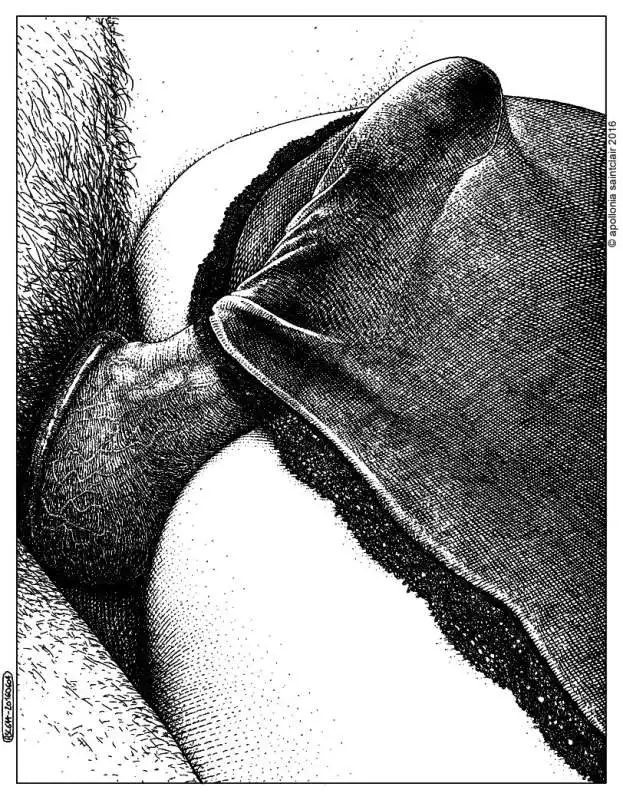 apollonia saintclair sesso anale