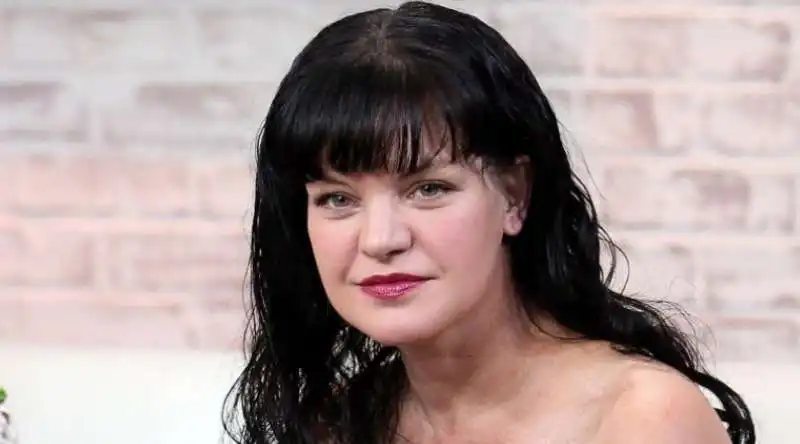 pauley perrette 1