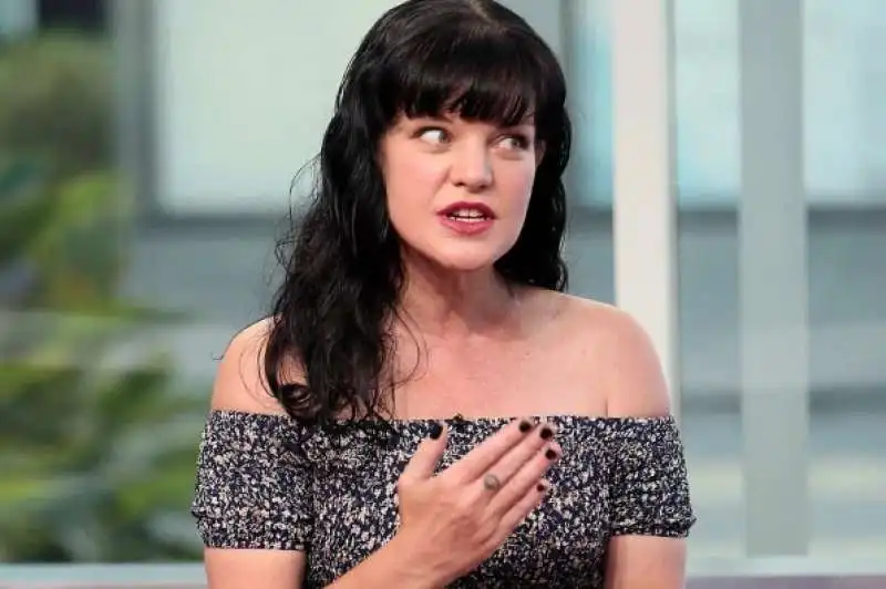 pauley perrette 6