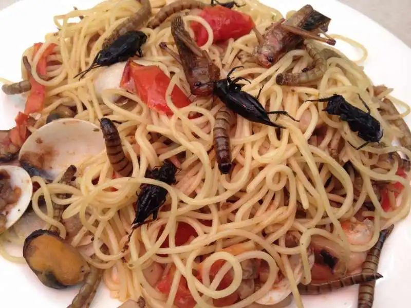 spaghetti scoglio e insetti