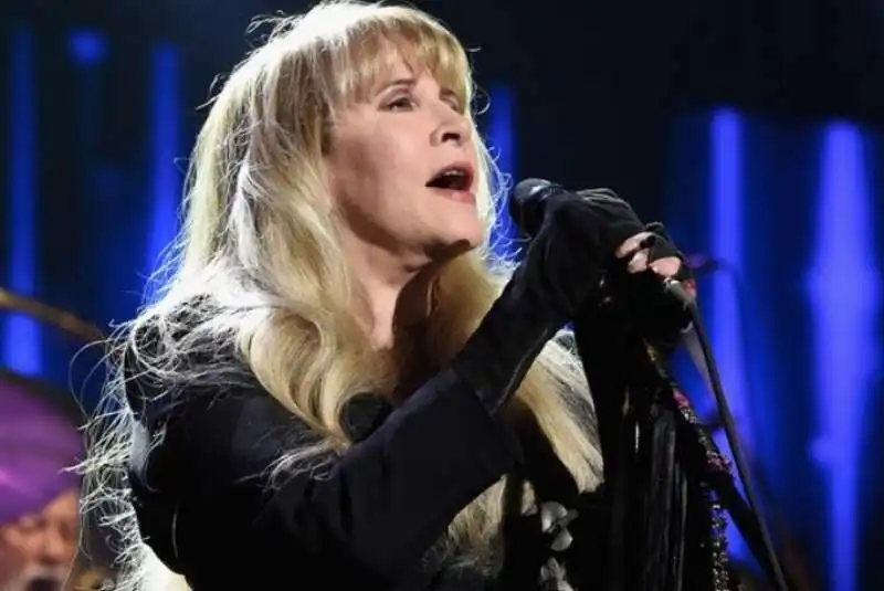 stevie nicks 3