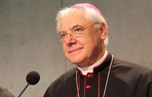 cardinal gerhard mueller