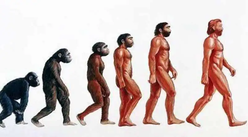 evoluzione dell'uomo 1