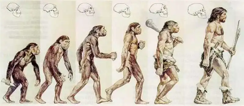 evoluzione dell'uomo 4