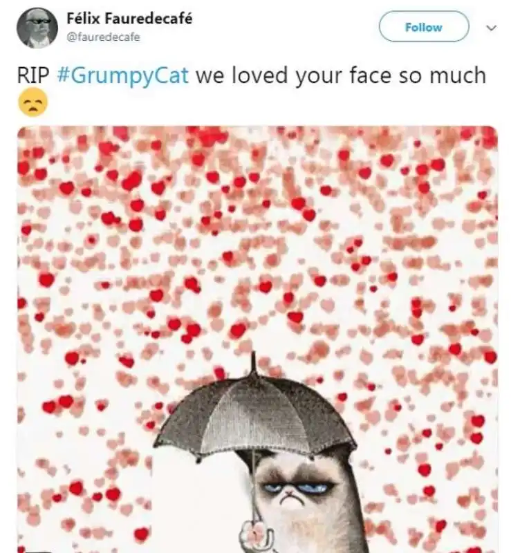 grumpy cat 13