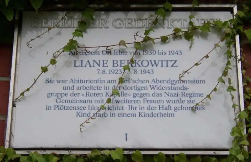 liane berkowitz  3