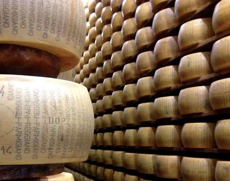 parmigiano reggiano