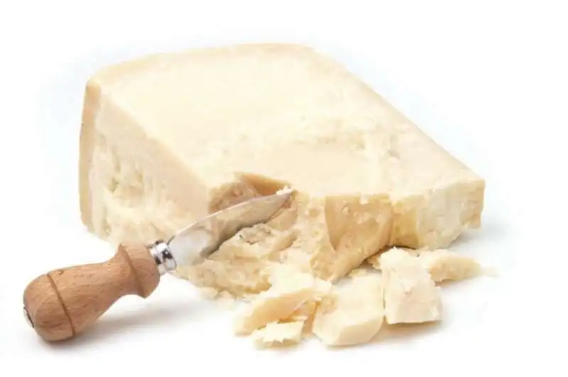 parmigiano reggiano 3