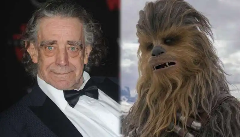 PETER MAYHEW