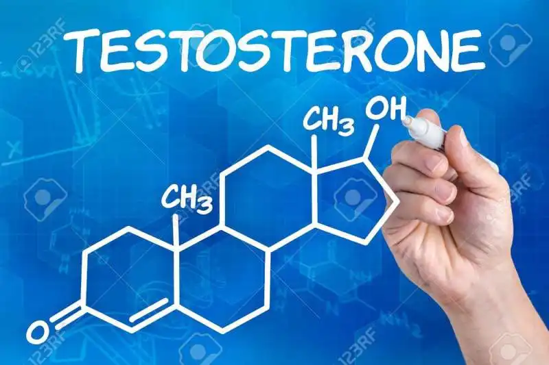 testosterone 2