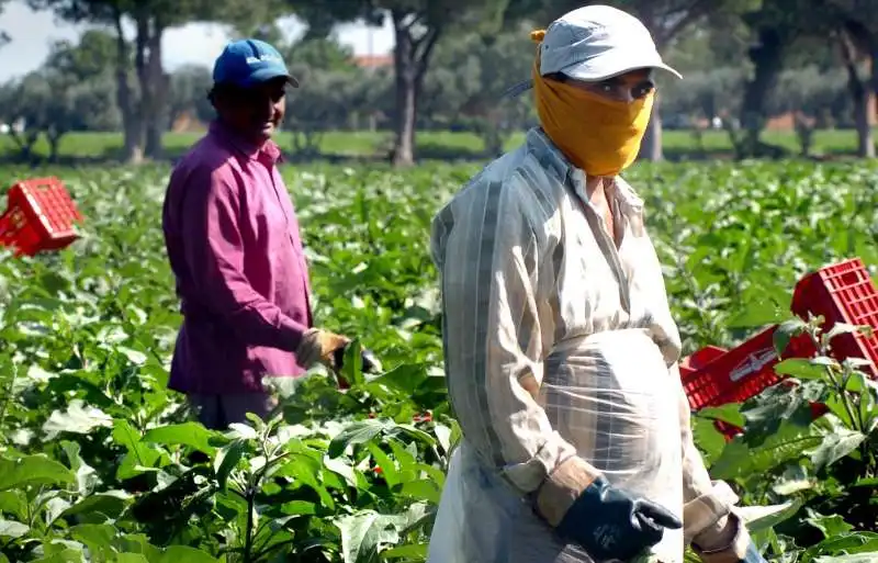 braccianti agricoltura 1